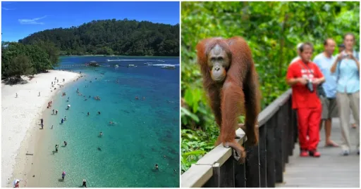image for article Wildlife, Beaches & Cuisine: 3 Things Pinoys Will Love About Sabah