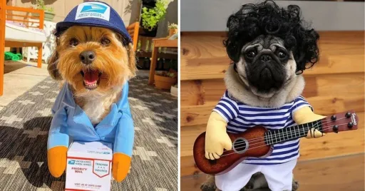 image for article 8 Funny Dog Costumes That Will Make You Laugh Out Loud