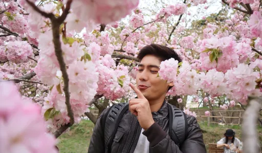 image for article What Not to Do in Japan, According to Frequent Visitor Robi Domingo