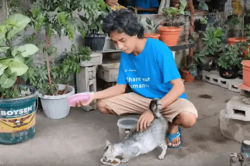 image for article Follow This Filipino YouTuber With Over 100 Rescued Cats for Pet Care Tips