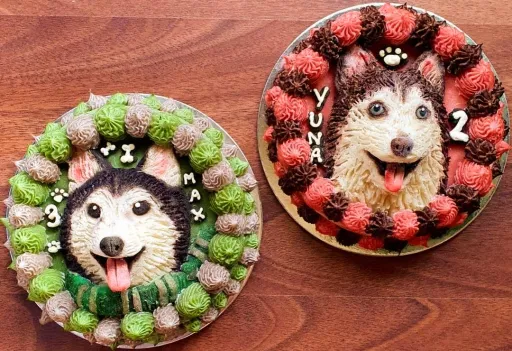 image for article Local Pet Café Makes Dog-Inspired Cakes Along With Other Treats