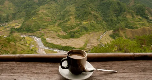 image for article Coffee Culture in the Philippines & Where to Find the Best Brews