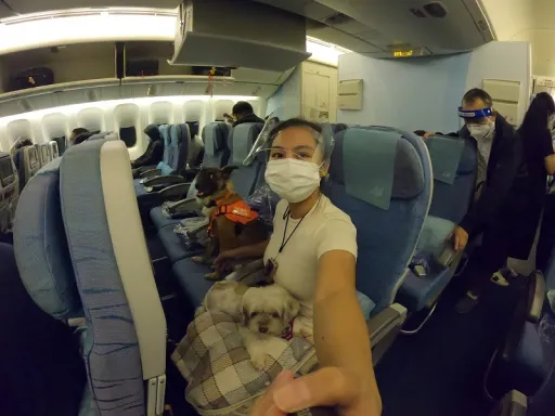 image for article This Pinay Talks About Migrating With Her Emotional Support Animals
