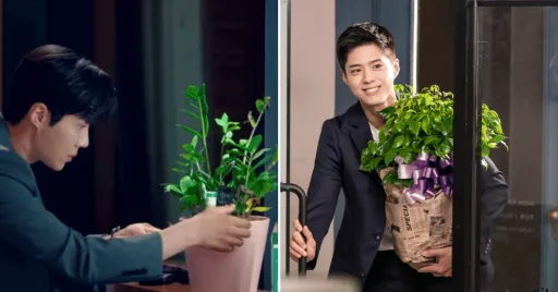 image for article A Rundown of Our Favourite K-Drama Houseplants