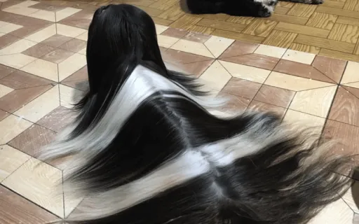 image for article This Cute Shih Tzu Has Unbelievably Shiny and Soft Hair!