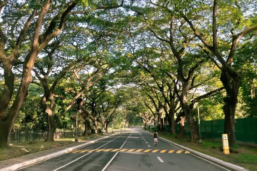 image for article Allowed Activities and Protocols When Visiting UP Diliman’s Academic Oval This Pandemic