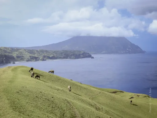 image for article Batanes During COVID-19: These Ivatans Show Us What It Looks Like