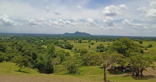 image for article Nueva Ecija’s Colosboa Hills Are a Lot Like Those in New Zealand!