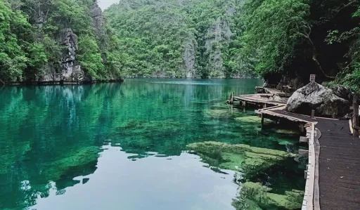 image for article Coron’s Kayangan Lake is Extra Clear During Quarantine