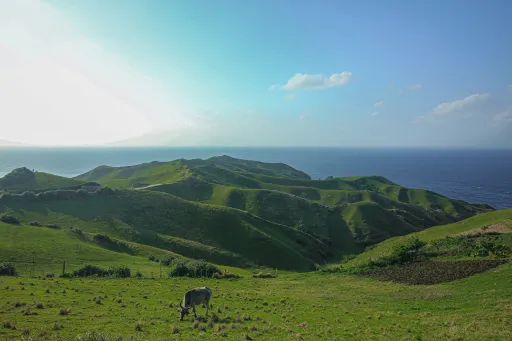 image for article Dear Batanes, I Should’ve Visited You While I Could