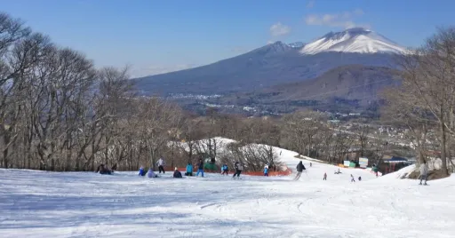image for article Winter in Japan: 10 Best Things to Do in Nagano & Niigata