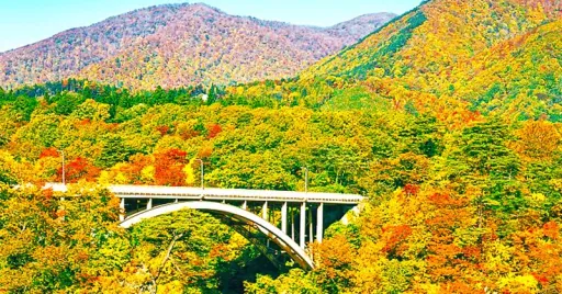image for article Tohoku Joyful Trains in Autumn: Pikachus, Nature Walks & More!