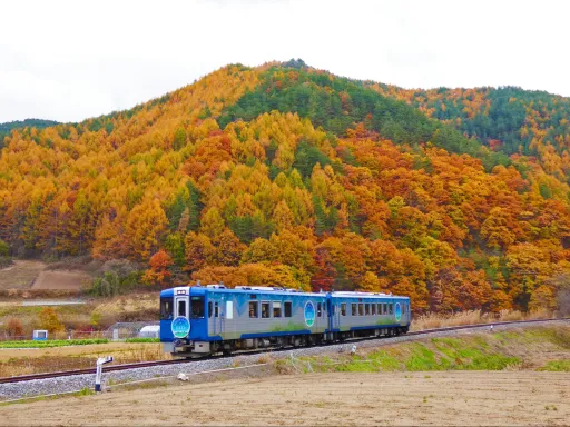 image for article Experience Nagano & Niigata’s Joyful Trains: Sake Tastings, Art Galleries, Planetarium Onboard and more!