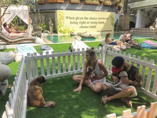 image for article This Hotel in Bali Lets You Play with Adorable Rescue Puppies