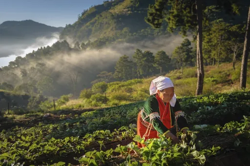 image for article Travel Responsibly: 7 Ways You Can Support Green Tourism in Thailand