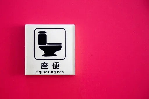 image for article A Traveller’s Guide to Conquering Asian Squat Toilets