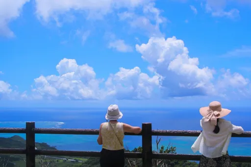 image for article 8 Stunning Sights in Okinawa Best Explored By Car