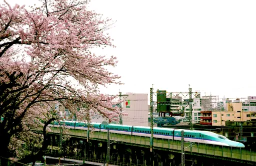 image for article The Ultimate Food & Sakura Itinerary That Maximises the JR East Pass (Tohoku)