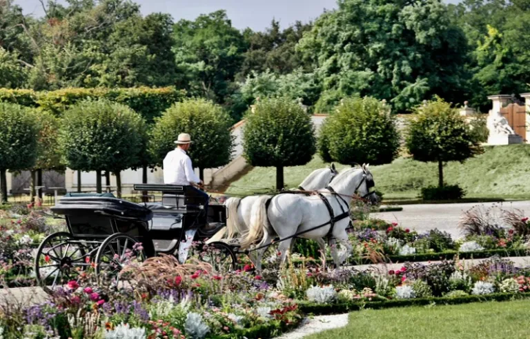 , Carriage Ride