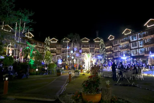 image for article The Manor Comes Alive With Its Annual Christmas Light Shows