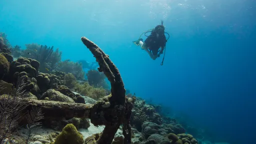 image for article Government Promotes PH as One of Asia’s Major Diving Spots