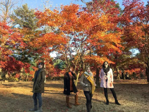 image for article Autumn in South Korea: Our 5-Day Budget Itinerary