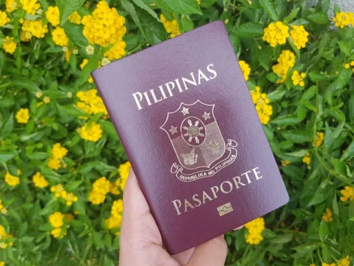 image for article DFA Opens 100,000 Slots for Passport Appointment