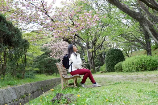 image for article Spring in Japan – Reflections from My First Solo Travel