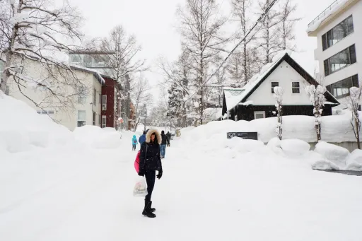 image for article Winter in Niseko, Japan: Travel Guide & Tips for Filipinos