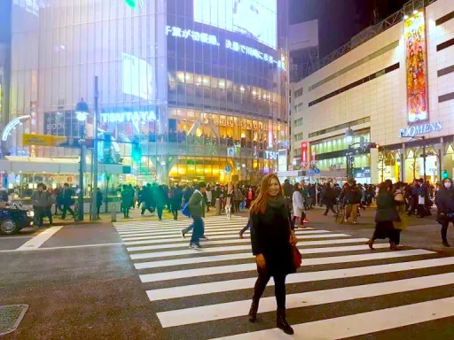 image for article 6 Reasons I Fell in Love with Tokyo and Why You will Too