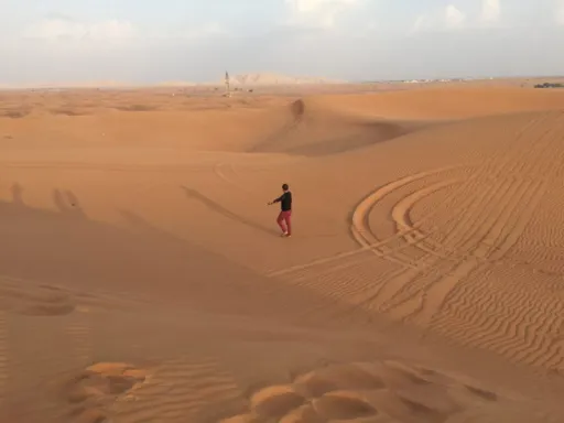 image for article Why a Desert Safari Excursion is a Must Do in Dubai
