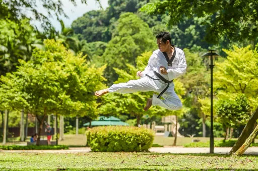 image for article Where to Learn Martial Arts While Travelling Asia
