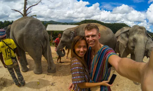 image for article Our Experience Inside the Elephant Jungle Sanctuary in Chiang Mai