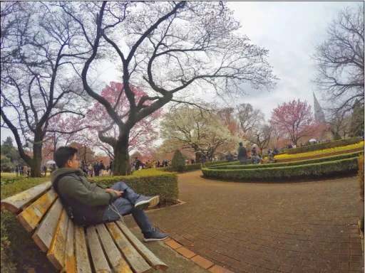 image for article My Solo Spring Trip to Japan: Where to Spot Cherry Blossoms, Tips & Expenses