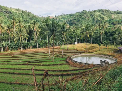 image for article Mt. Agad-Agad: Iligan City’s Lone Mountain for Trekkers