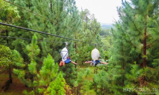 image for article Our Dahilayan Adventure Park Experience in Bukidnon