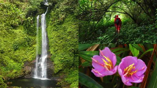 image for article My Day Hike to Bataan’s Pasukulan Falls via the Pinagbutasan Trail