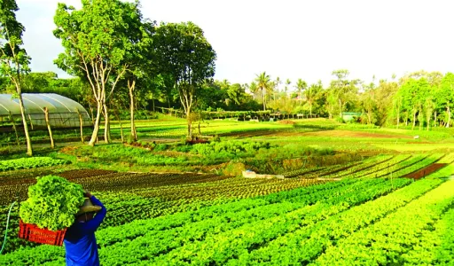 image for article 7 Farm Experiences Near Manila for Your Next Weekend Escape