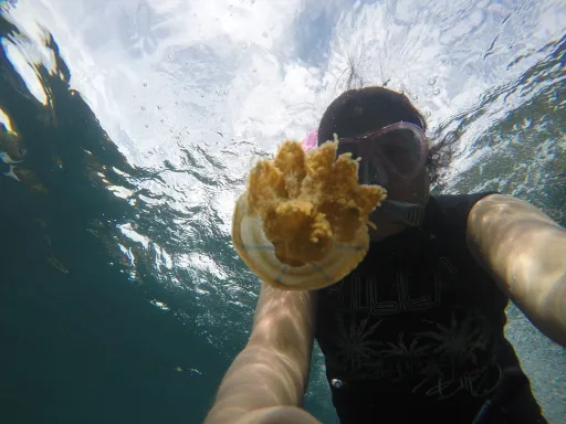 image for article I Spent 7 Days in Caraga Swimming with Jellyfish, Island Hopping & More