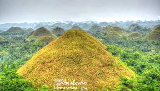 image for article 21 Amazing Attractions in Bohol Every Visitor Must See