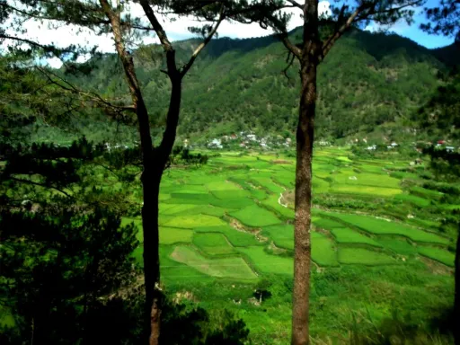 image for article Why Sagada Should Be Your Next Long Weekend Getaway