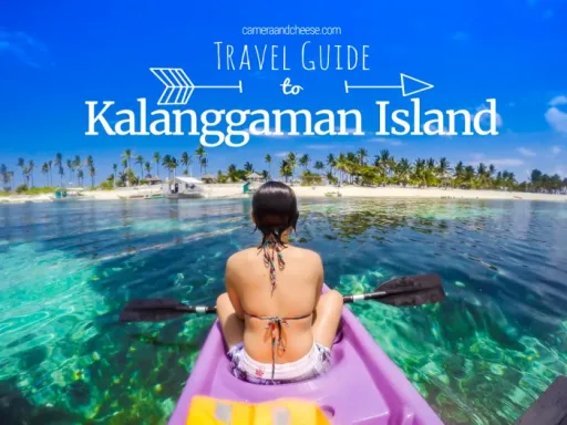 image for article Kalanggaman Island Travel Guide: All You Need to Know Before Your Trip