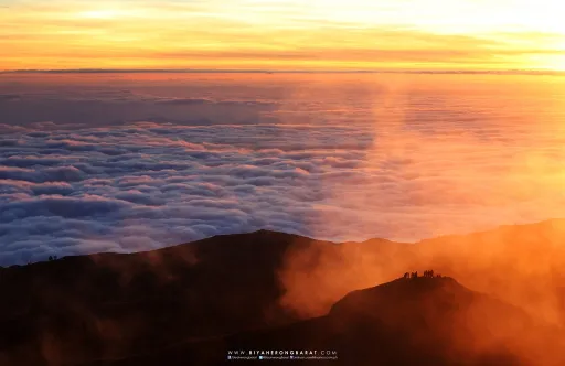 image for article Mount Pulag: On Climbing Luzon’s Highest Peak