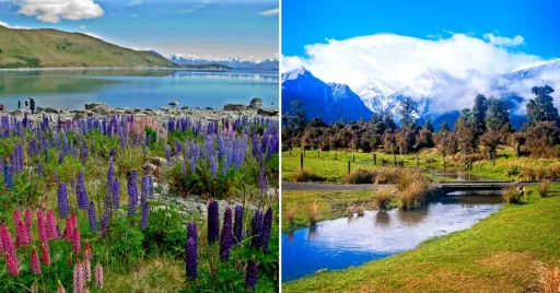 image for article New Zealand Tourist Levy Increase Amid Recovery Concerns