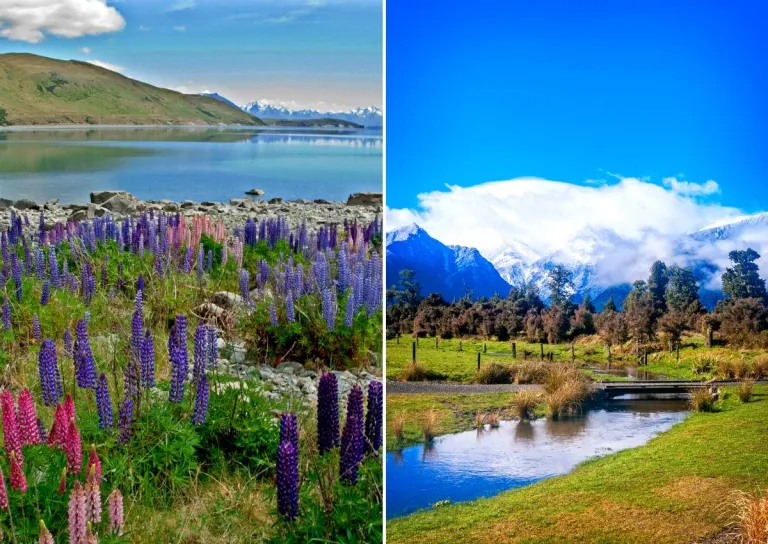 New Zealand tourist levy increase