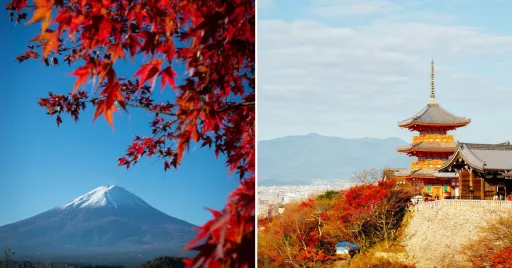 image for article Japan Autumn 2024: Your Ultimate Guide to Fall Foliage and Best Travel Dates