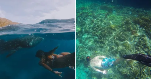 image for article Philippines Crowned Asia's Best Dive Destination at 2024 Travel Awards