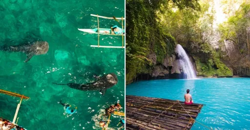 image for article DOT Seeks Support as Cebu Competes in UK Travel Awards