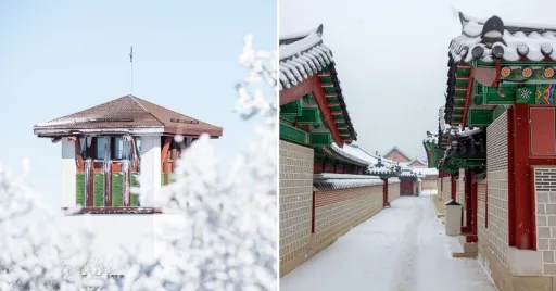 image for article South Korea’s Snowstorm 2024: What Travellers Should Know