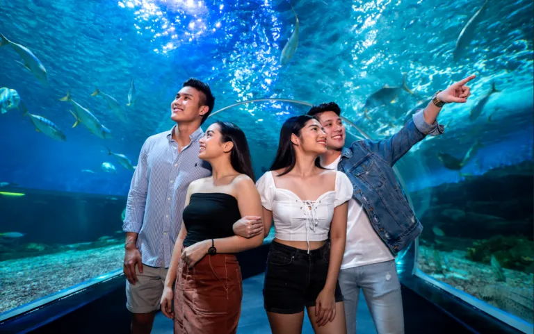 couples on a romantic date at at the Oceanarium in Manila Ocean Park.